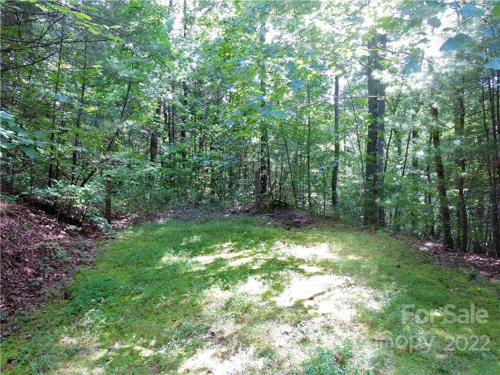 000 Jefferson Forest Drive - Photo 1
