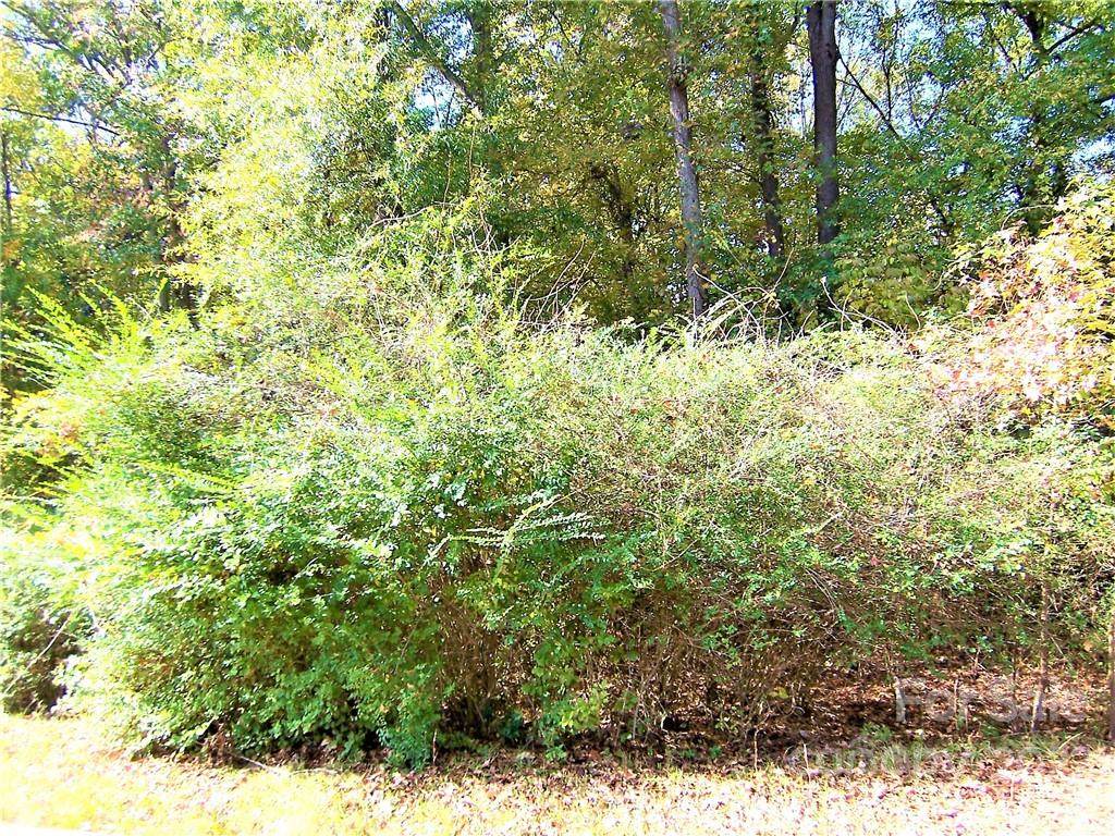 00 Hardin Drive - Photo 1