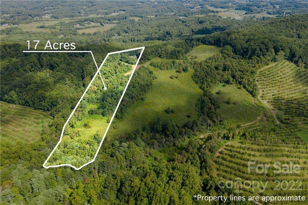 +/- 17 acres off Pace Road - Photo 1