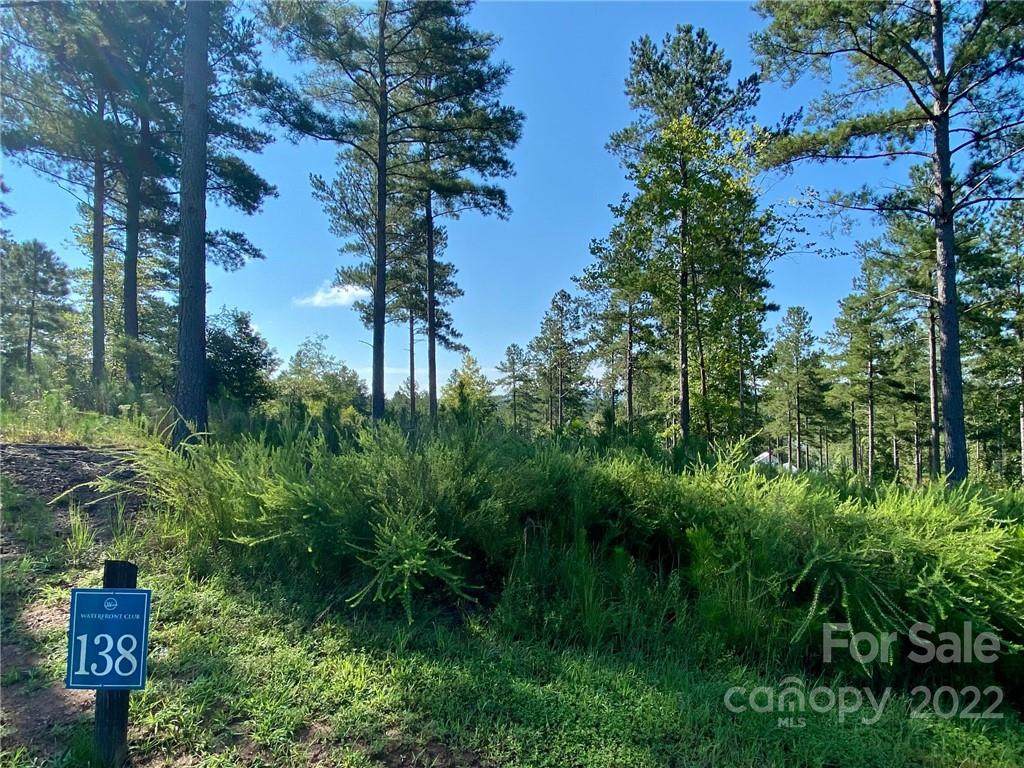 V/L Coveside Drive - Photo 1