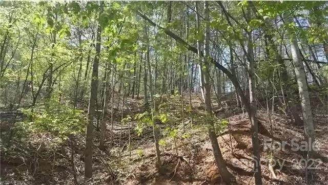 0000 Spruce Hill Road - Photo 1