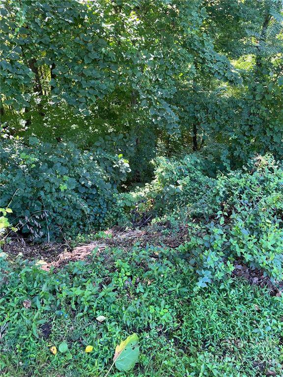 000 Vance Gap Road - Photo 1
