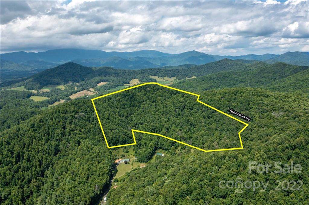 0 Colehearth Hollow Road - Photo 1