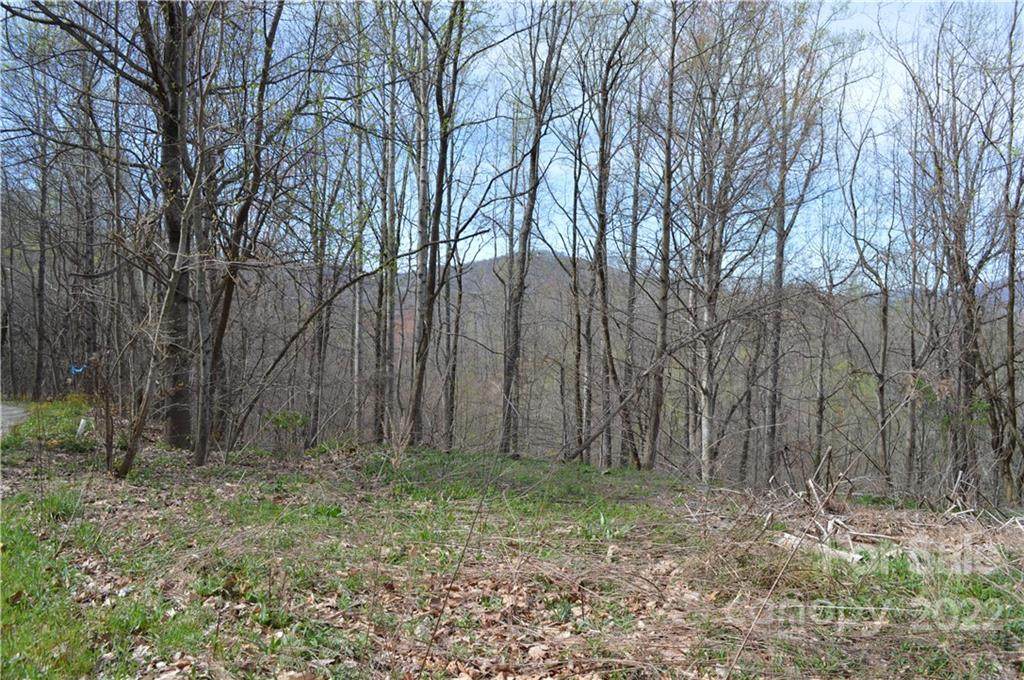 000 Tract 4 Still Spring Road - Photo 1