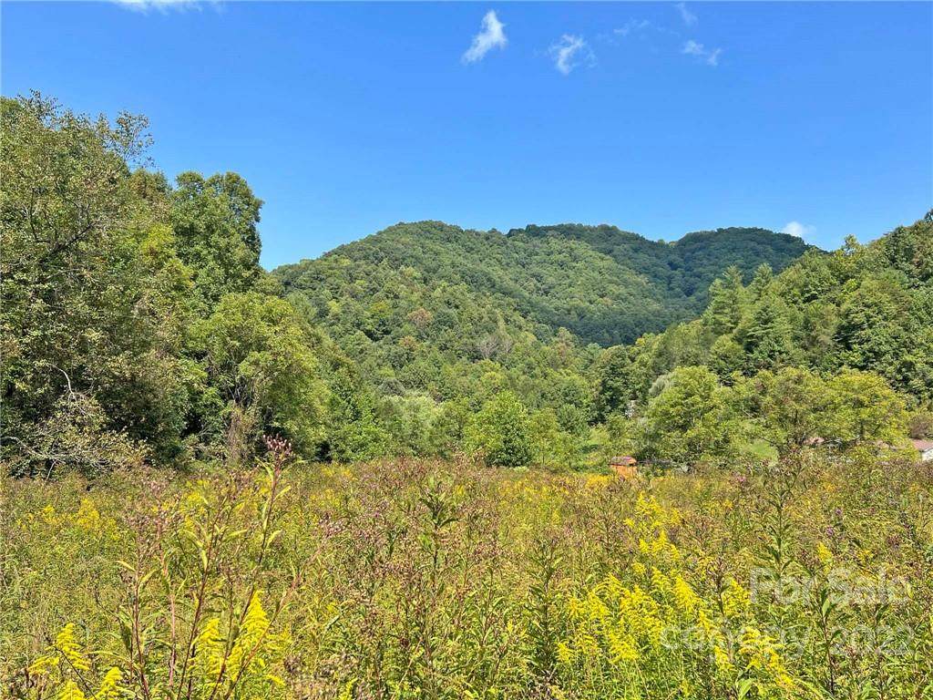 750 Baltimore Branch Road - Photo 1
