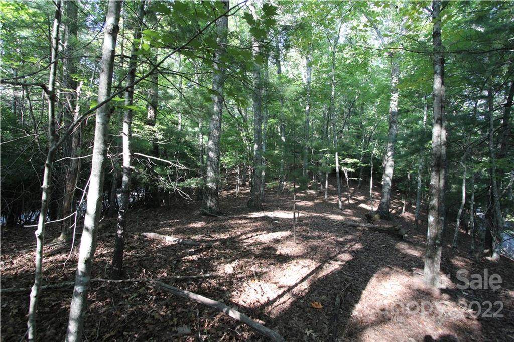 Tract 32B Kentwood Lane - Photo 1