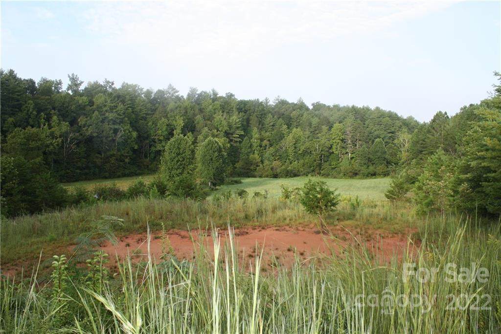 TBD Cypress Trail - Photo 1