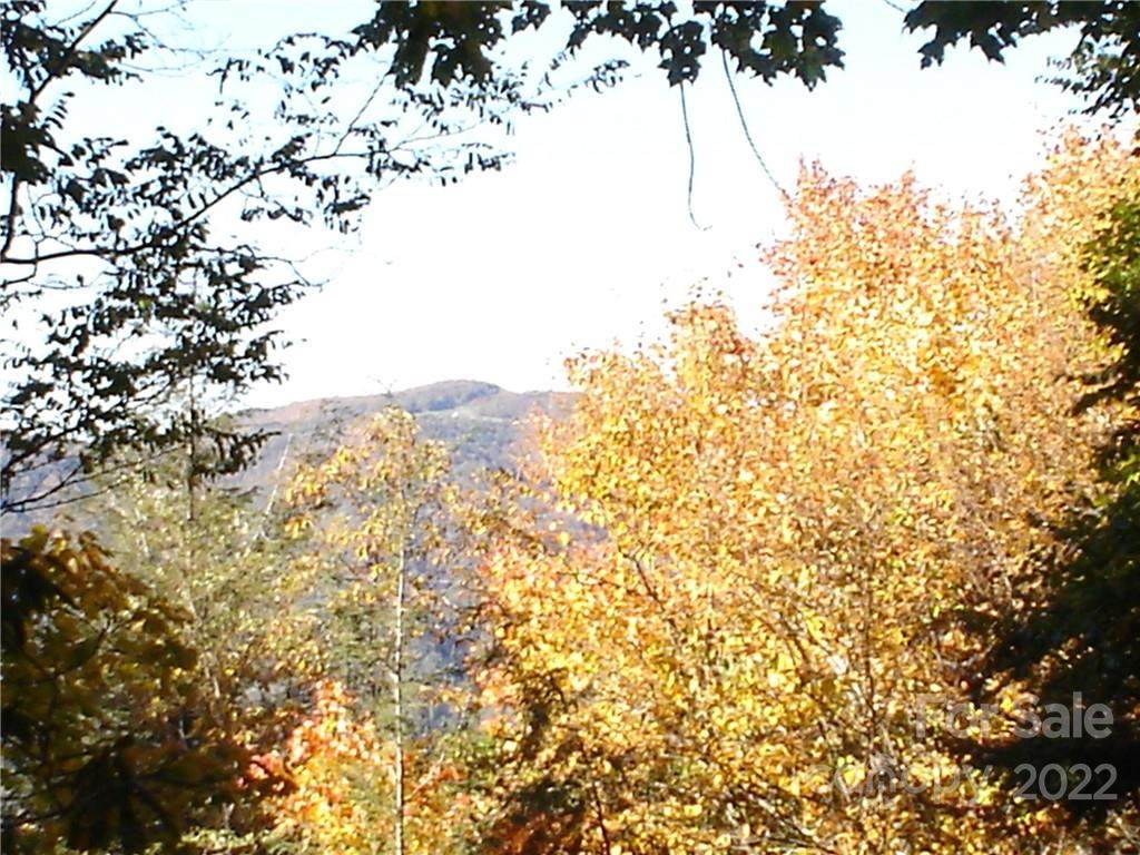 201 Chickadee Lane - Photo 1