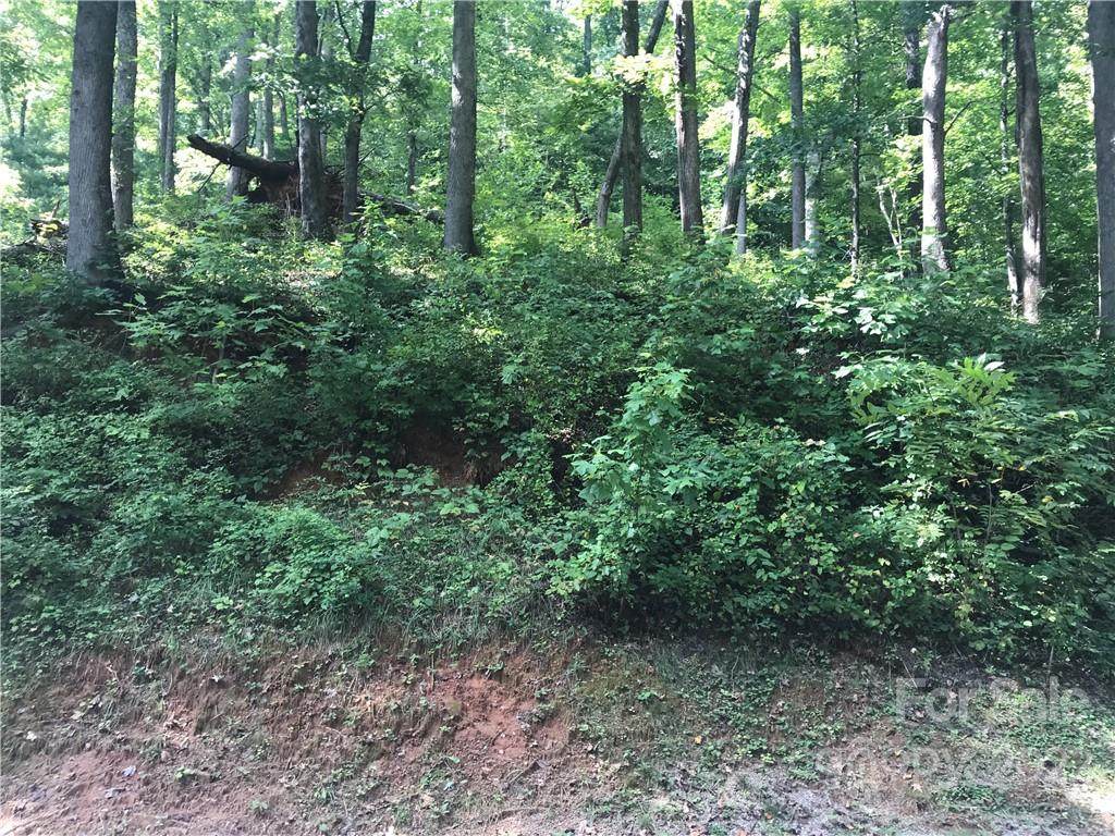 0 Blue Ridge Drive - Photo 1