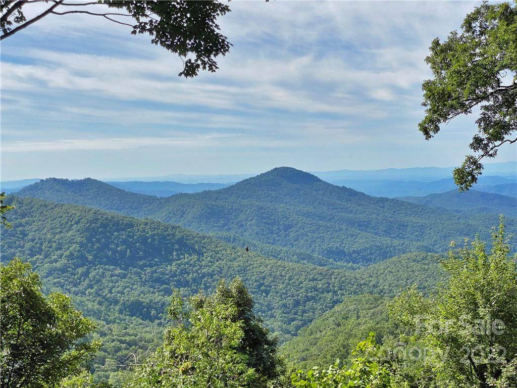 455 Dogwood Lane - Photo 1
