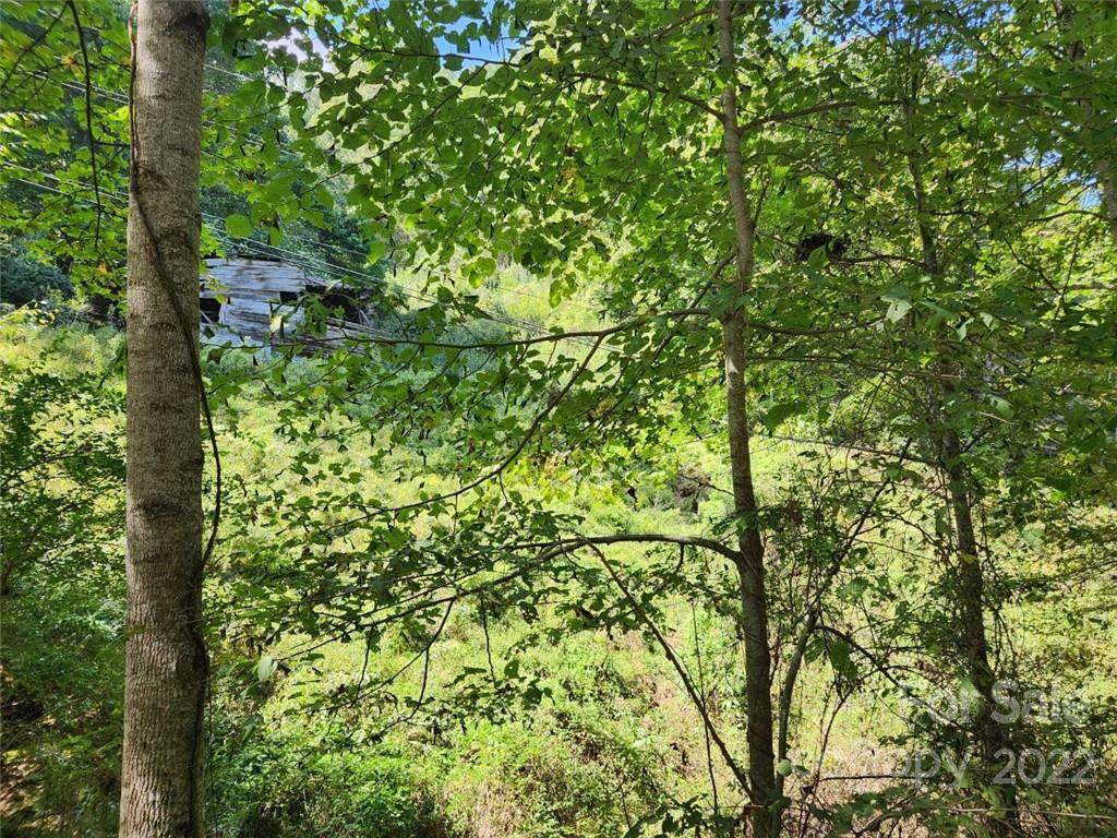 0000 Coxes Creek Road - Photo 1