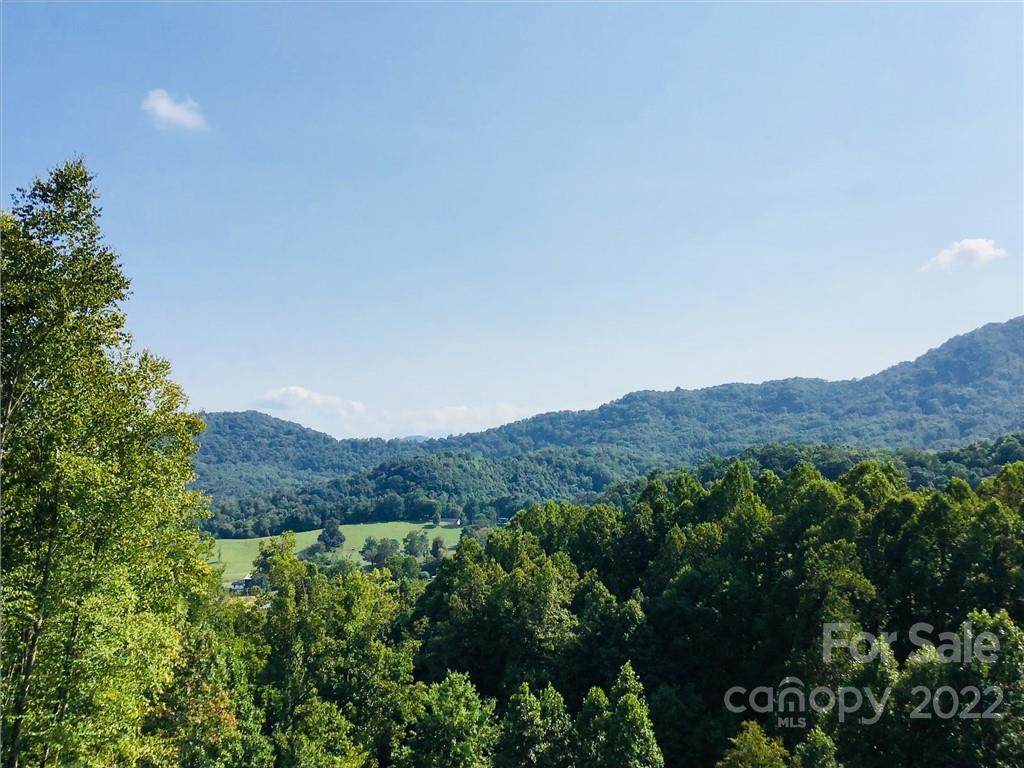 Lot 40 & 41 Tamarack Trail - Photo 1
