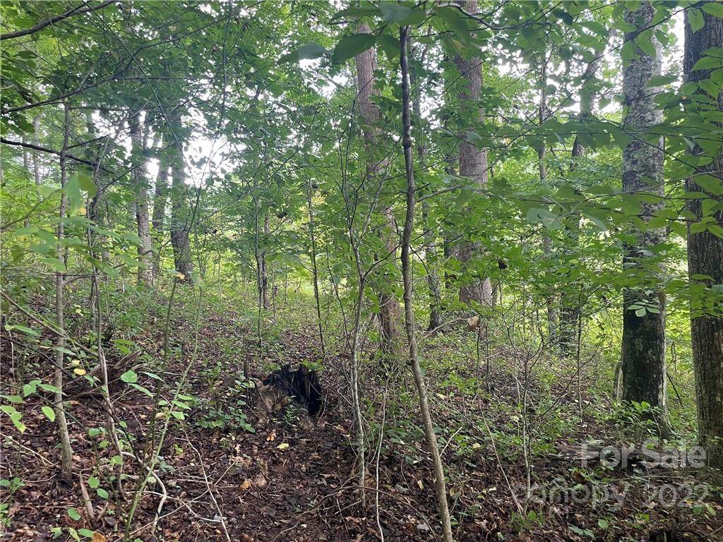 1088 Clarks Branch Road - Photo 1