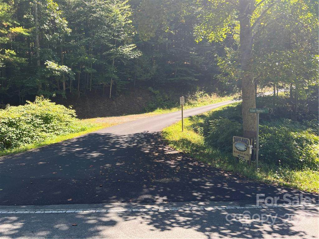 000 Ashland Mountain Drive - Photo 1