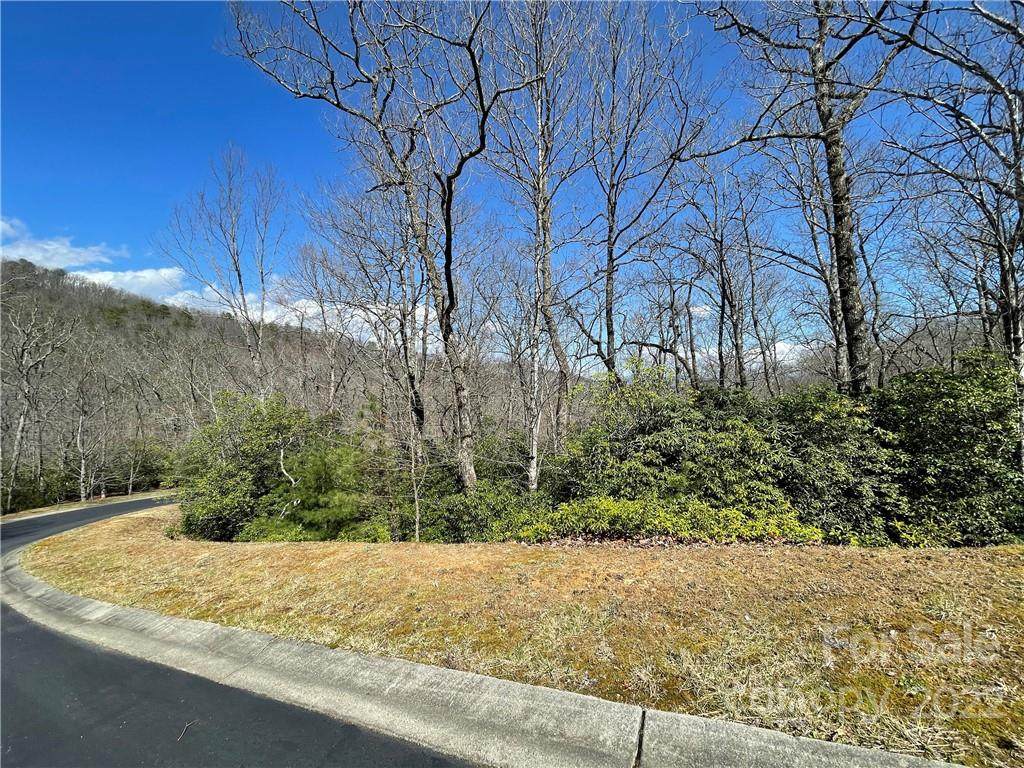 Lot 85-R Running Deer Trail - Photo 1