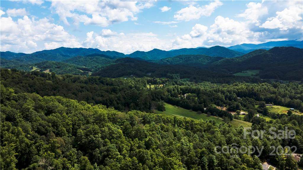 0 Lower Bailey Branch Road - Photo 1