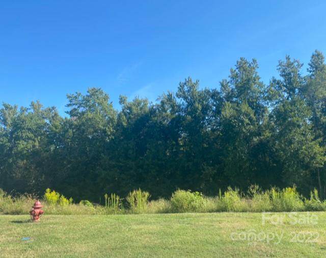 4016 Hereford Lane - Photo 1