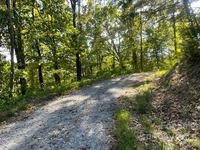 00 Pelican Lane - Photo 1