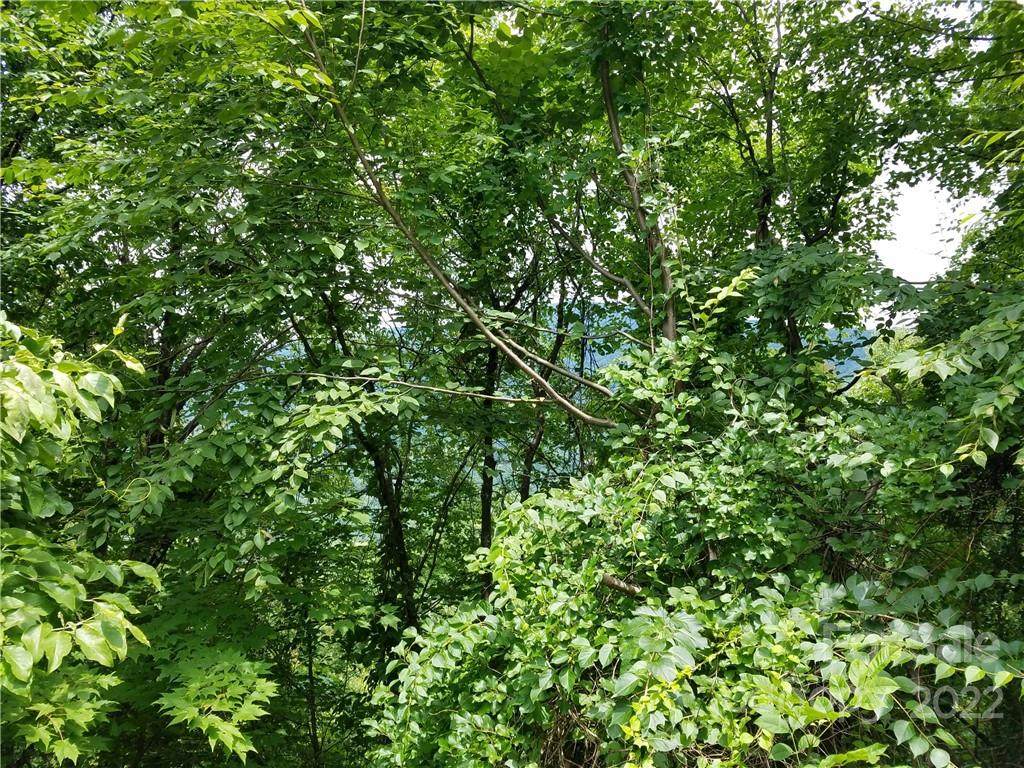 Lot 62 Dove Way - Photo 1