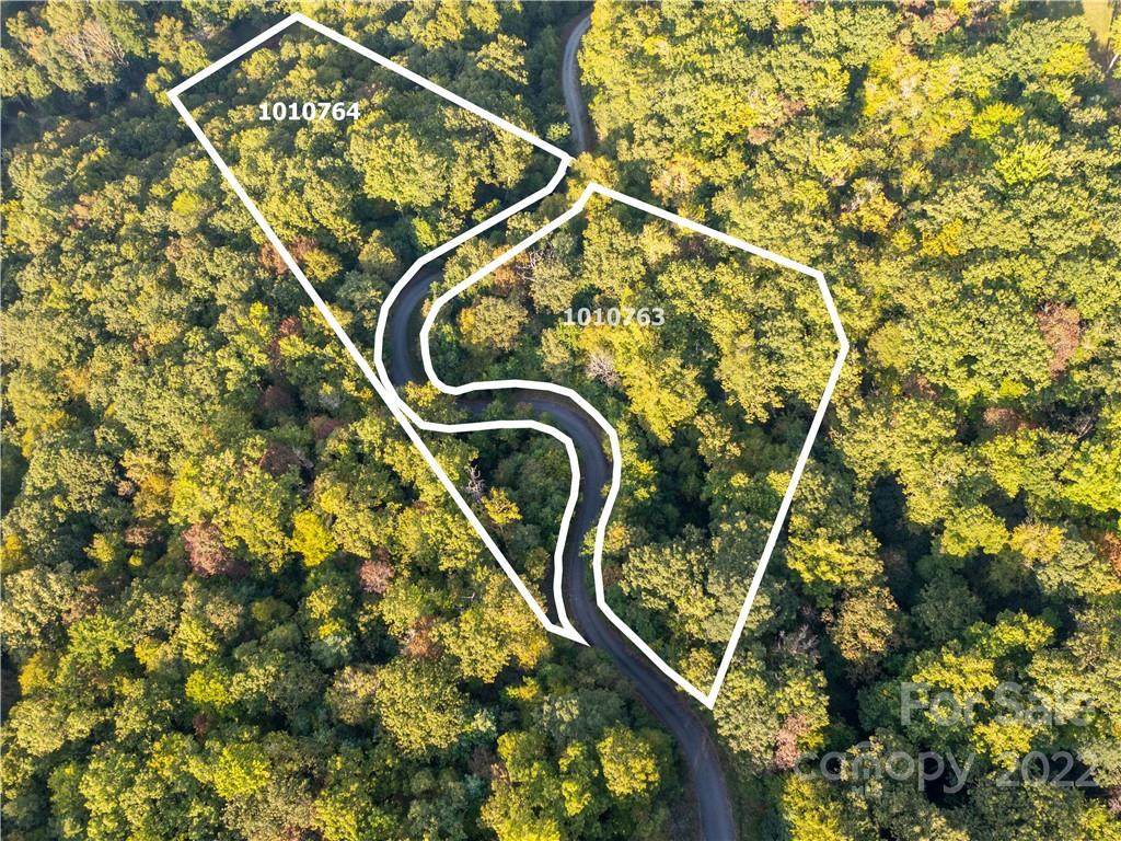 0000 Winterview Trail - Photo 1