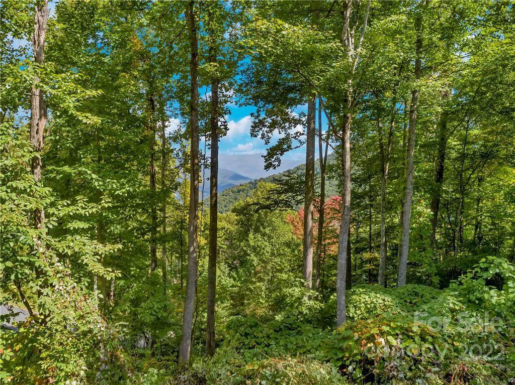 1332 Daydream Ridge - Photo 1