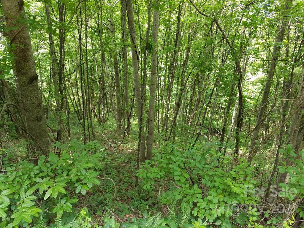 Lots 62, 63, 64 Hunter's Ridge - Photo 1
