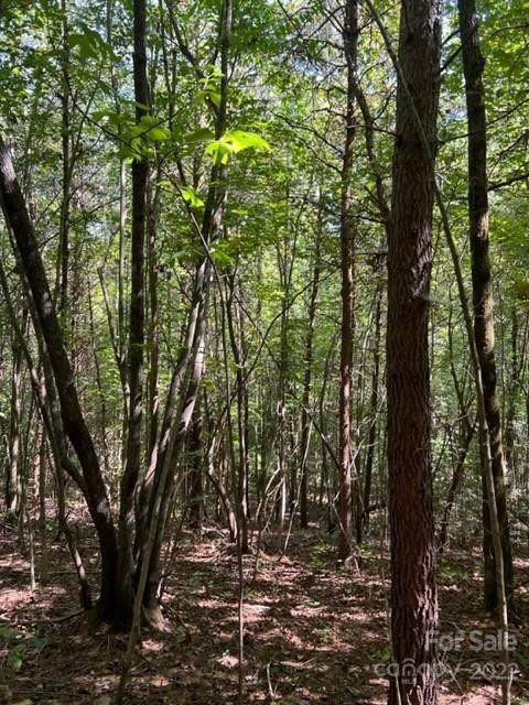 0 Mount Gilead Church Road - Photo 1