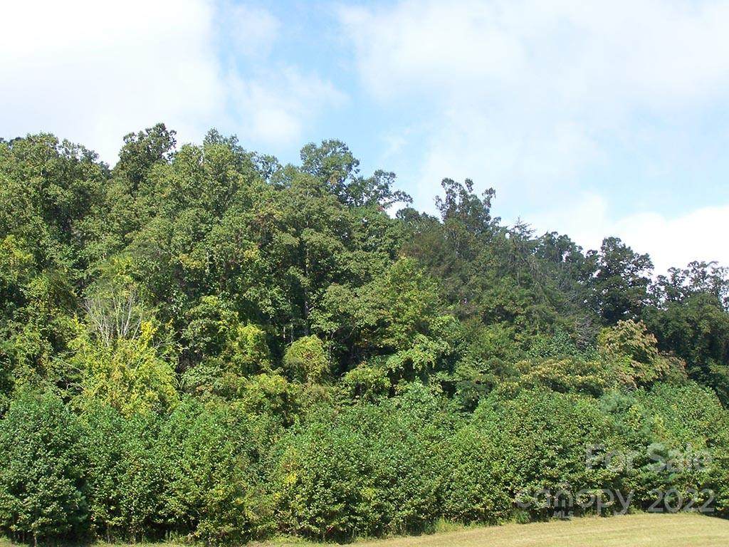 Lot 11 Running Deer Lane - Photo 1