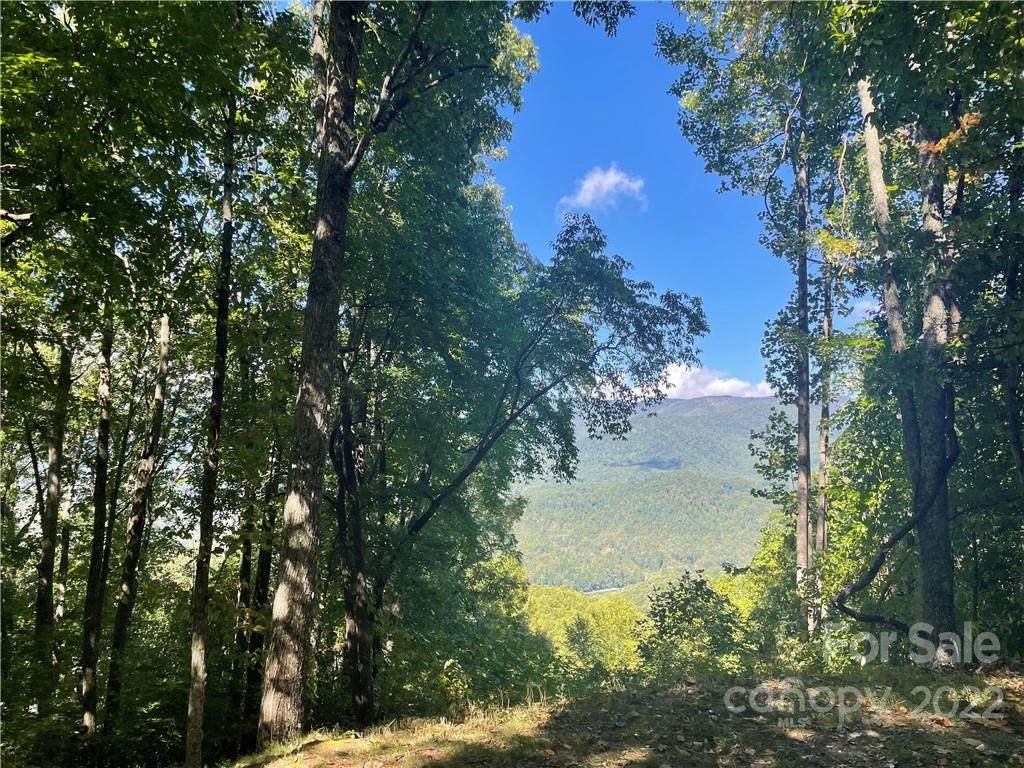 768 Boar Ridge Road - Photo 1