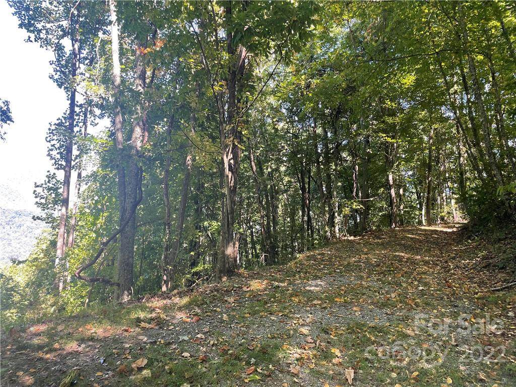 768 Boar Ridge Road - Photo 1