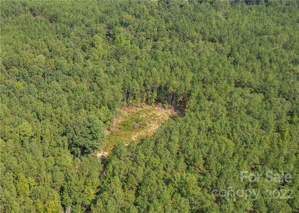 TBD Taxahaw Road - Photo 1