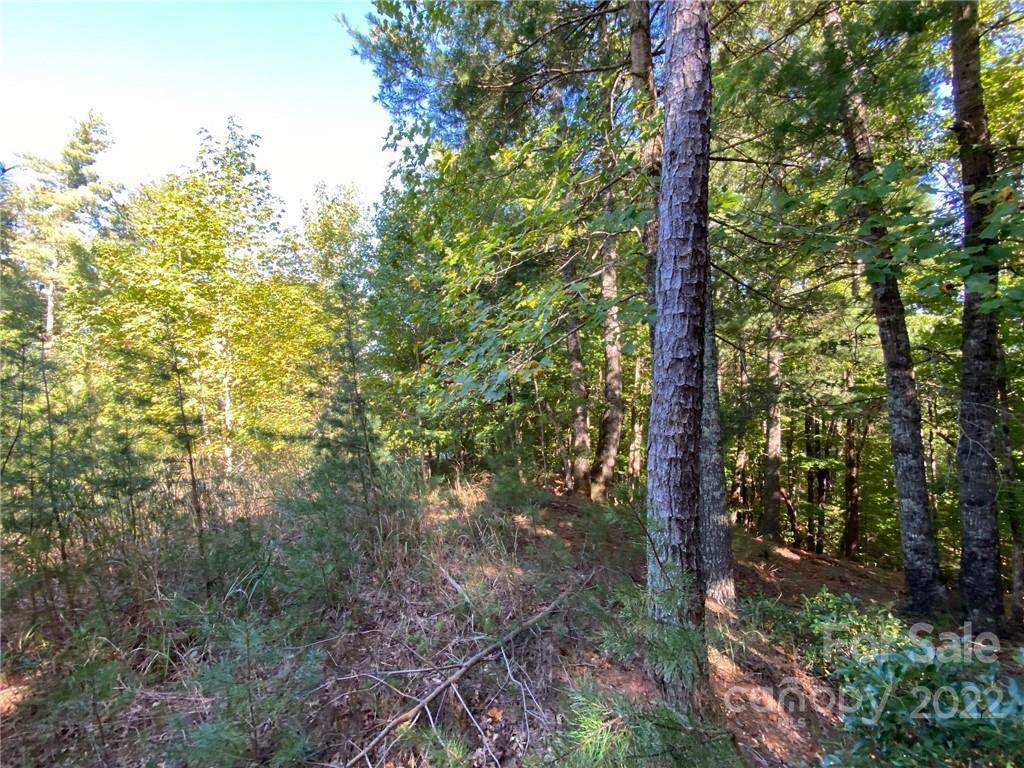 260 Sycamore Drive - Photo 1