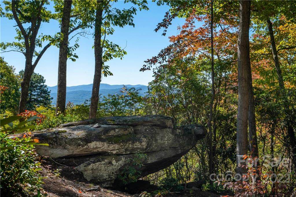 9999 Mountain Grove Lane - Photo 1