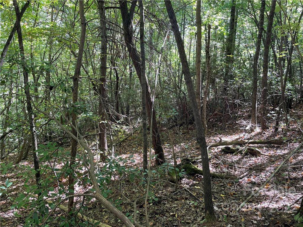 002 Alta Vista Road - Photo 1