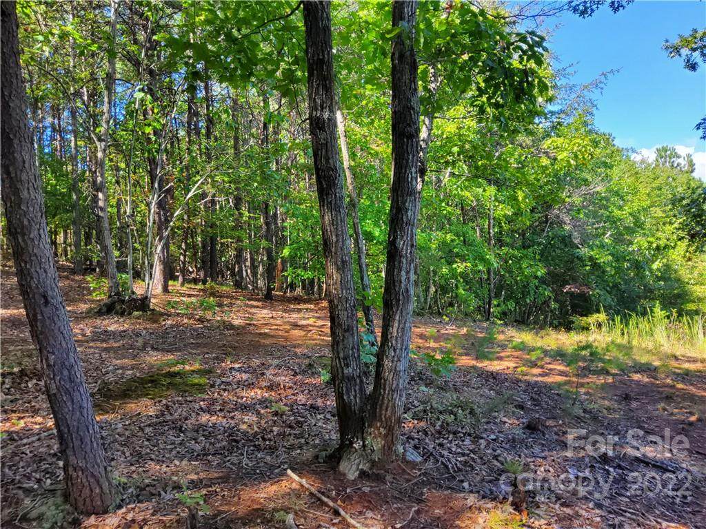 Lot 57 Cozy Lane - Photo 1