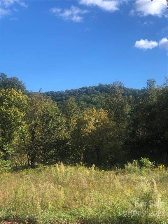 429 Tight Run Loop Road - Photo 1