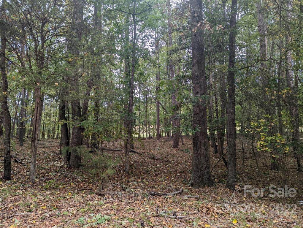 294 Tradition Drive - Photo 1