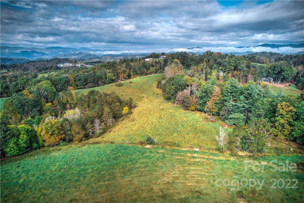 1484 Long Branch Road - Photo 1