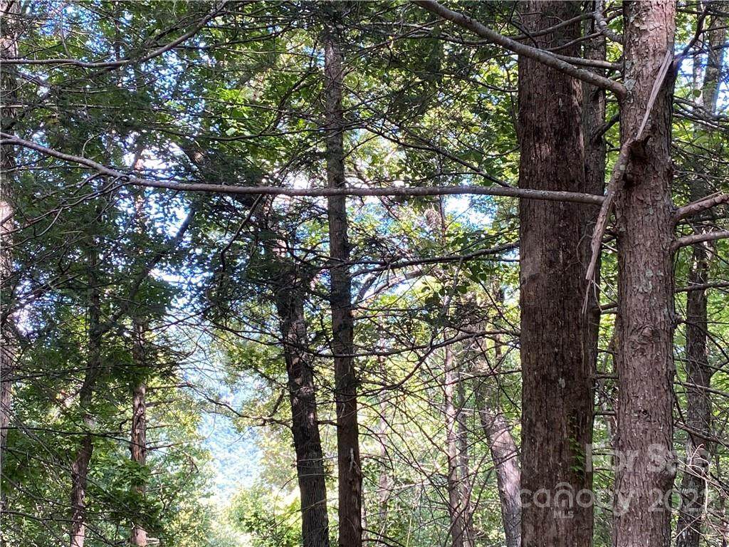 Lot 205 Weaver Lane - Photo 1