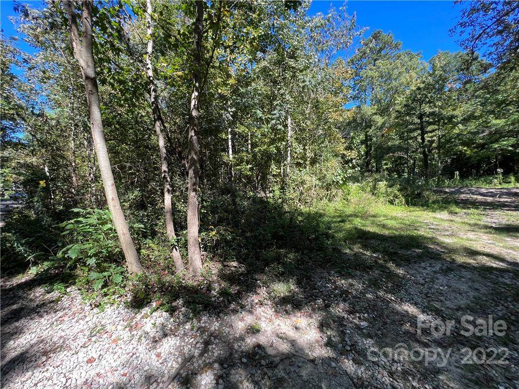 7628 Shadow Lawn Road - Photo 1