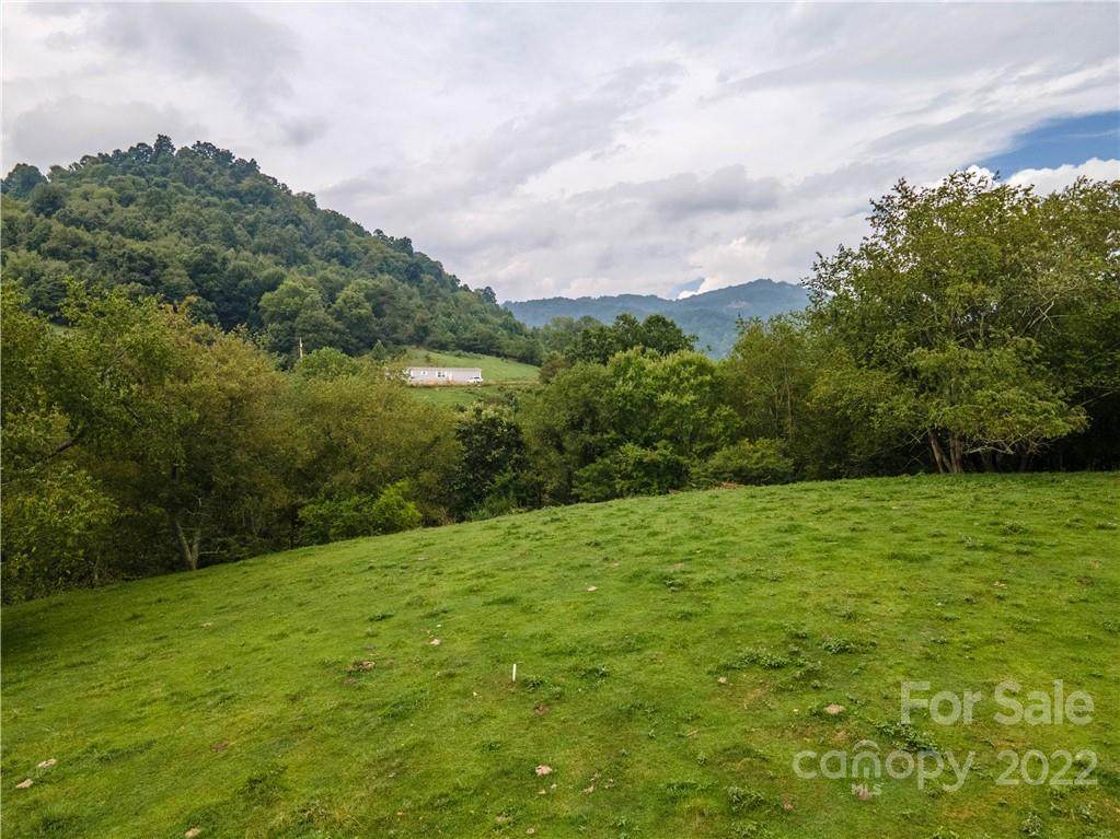0 Crabtree Road - Photo 1