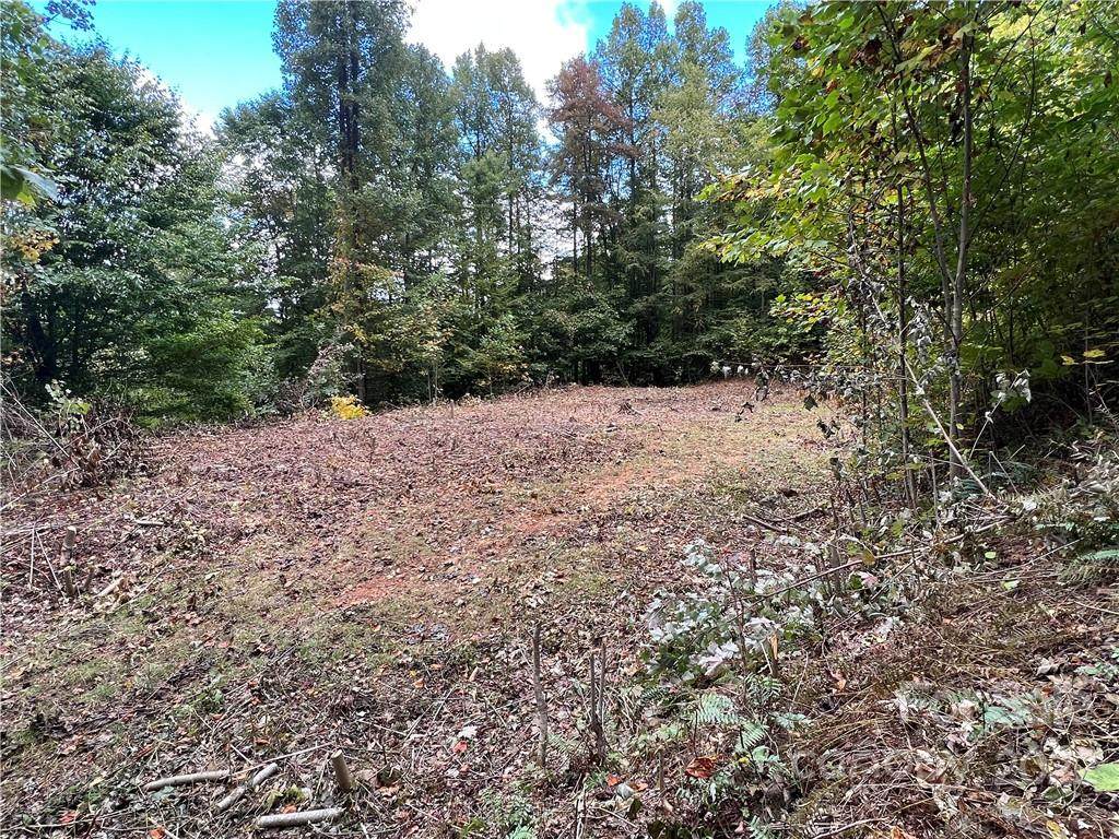 283 Rippling Brook Road - Photo 1