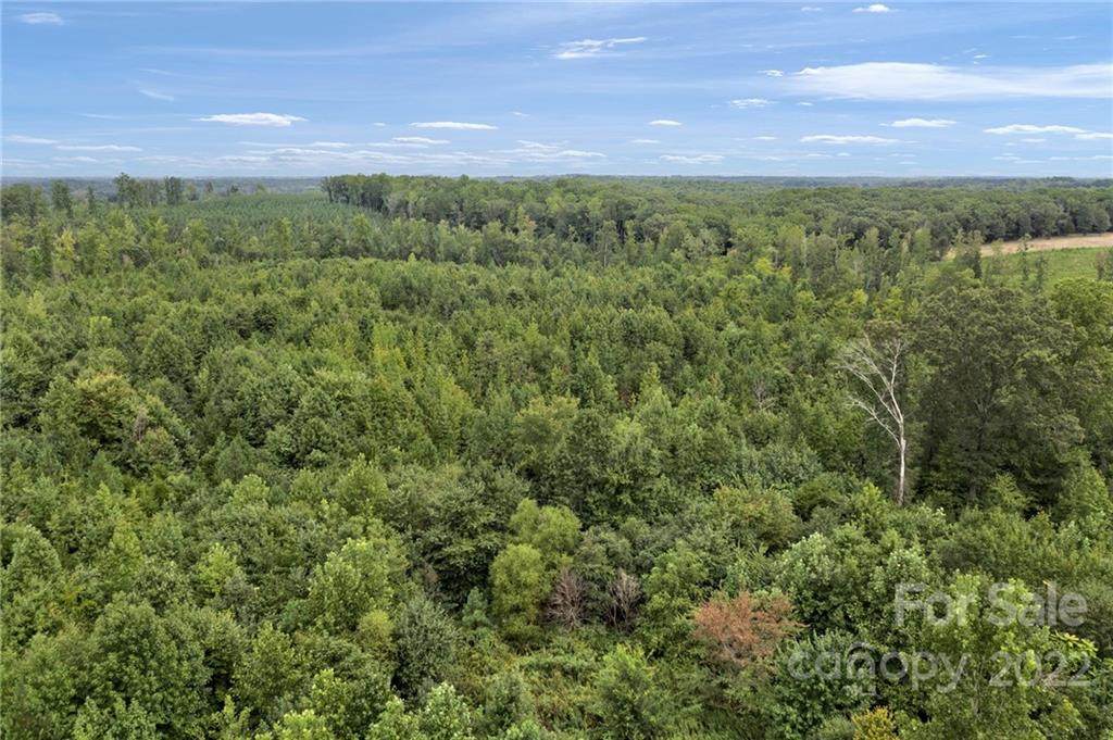 0 Woodleaf Barber Road - Photo 1
