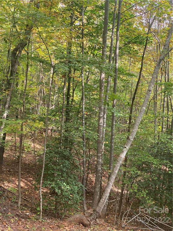 0000 Champagne Ridge - Photo 1