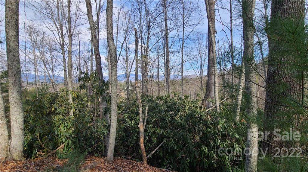 00000 Joe Bailey Road - Photo 1
