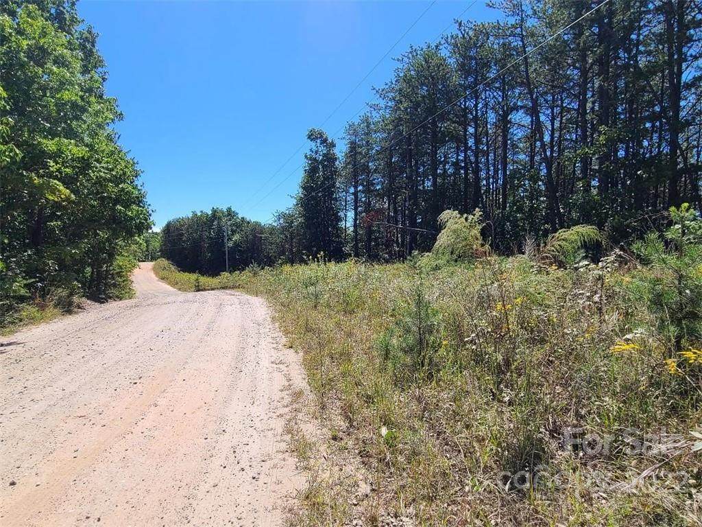 0 Ball Alley Creek Road - Photo 1