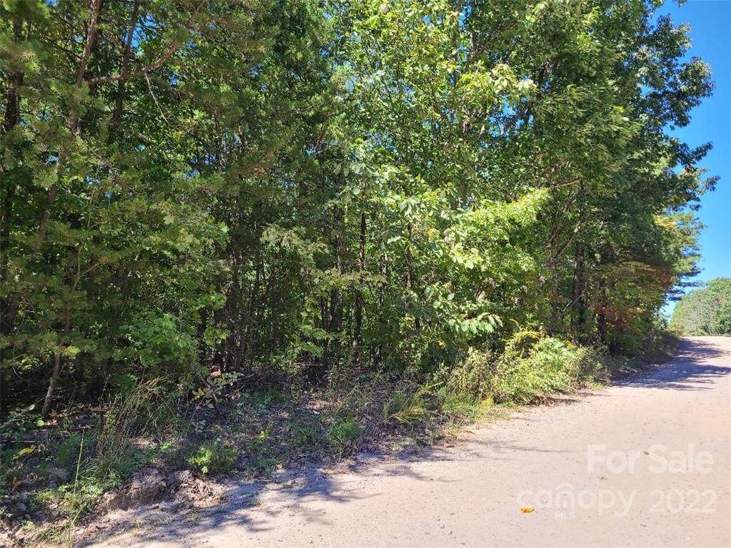 0 Ball Alley Creek Road - Photo 1