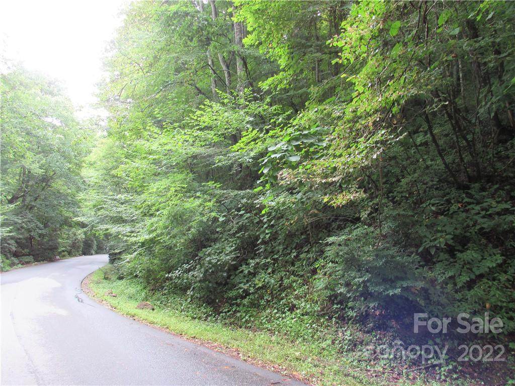 Lot 23 Village Lane - Photo 1