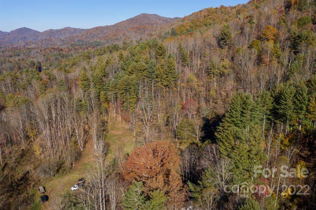 TBD Ledford Ridge Road - Photo 1