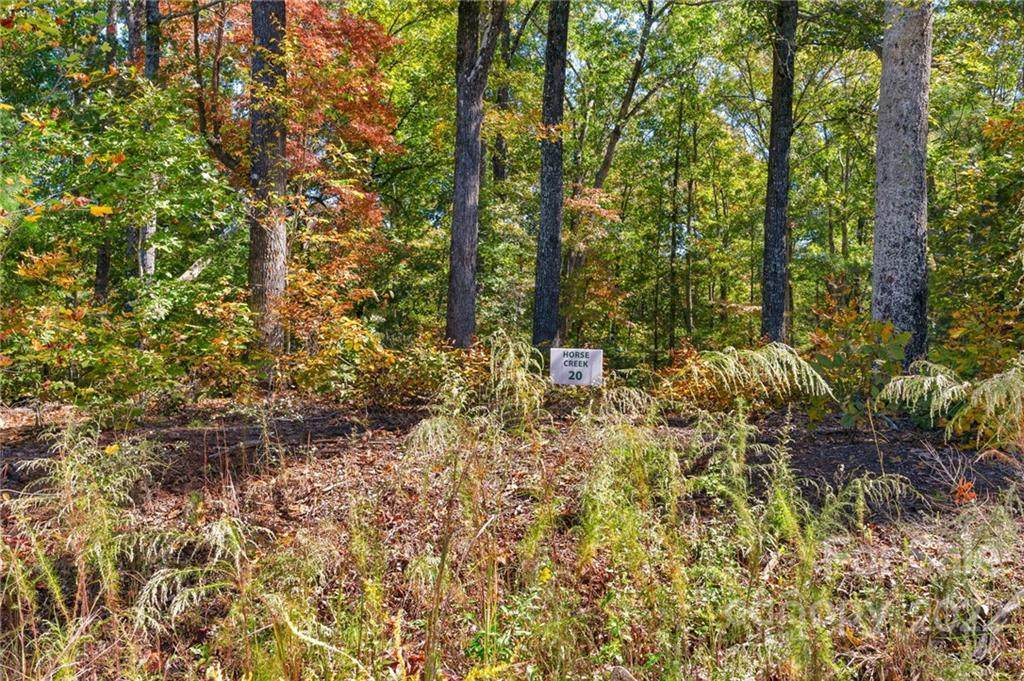 0 Walkaloosa Way - Photo 1